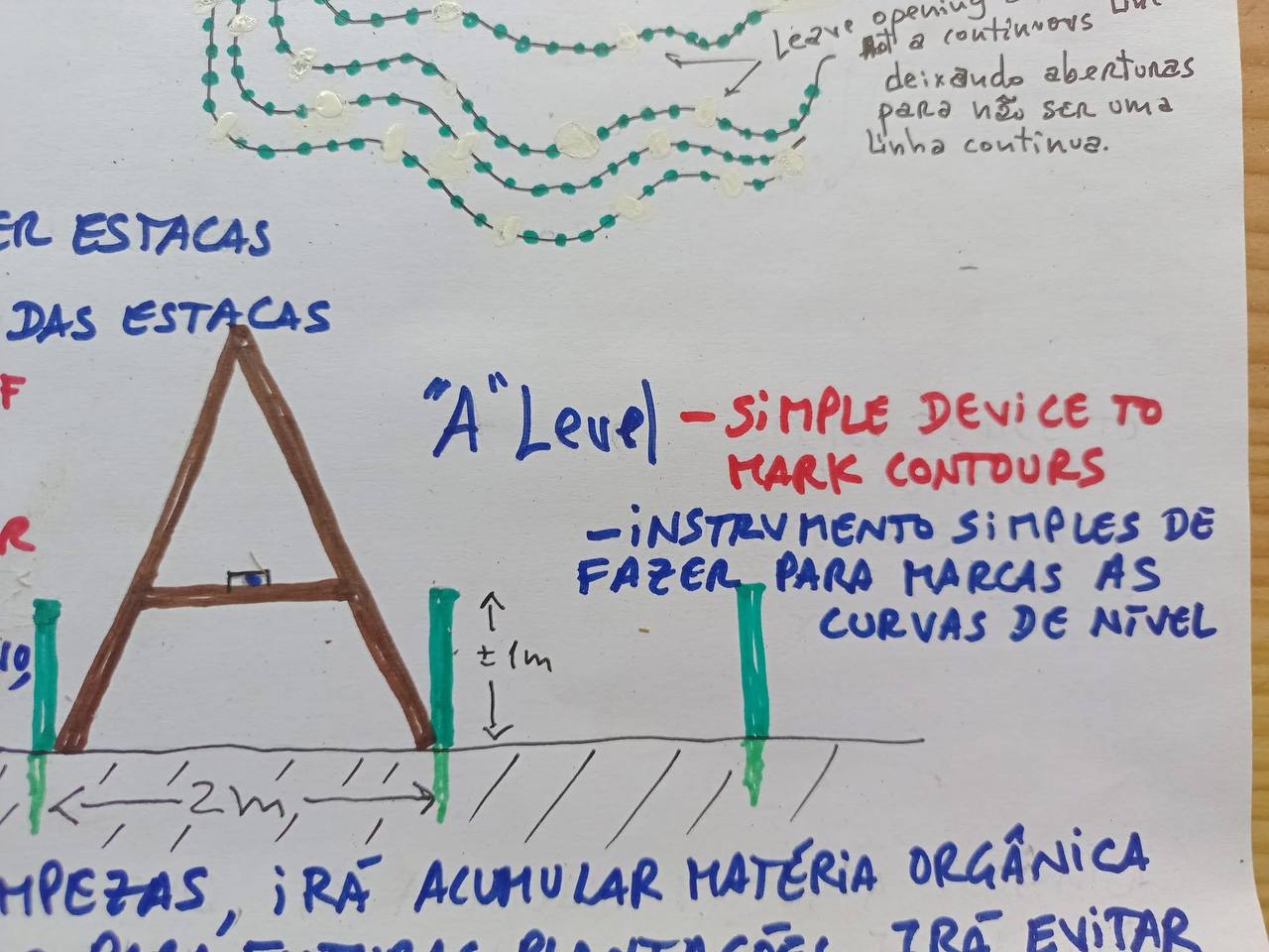 postfire-diagram-A-level.jpg