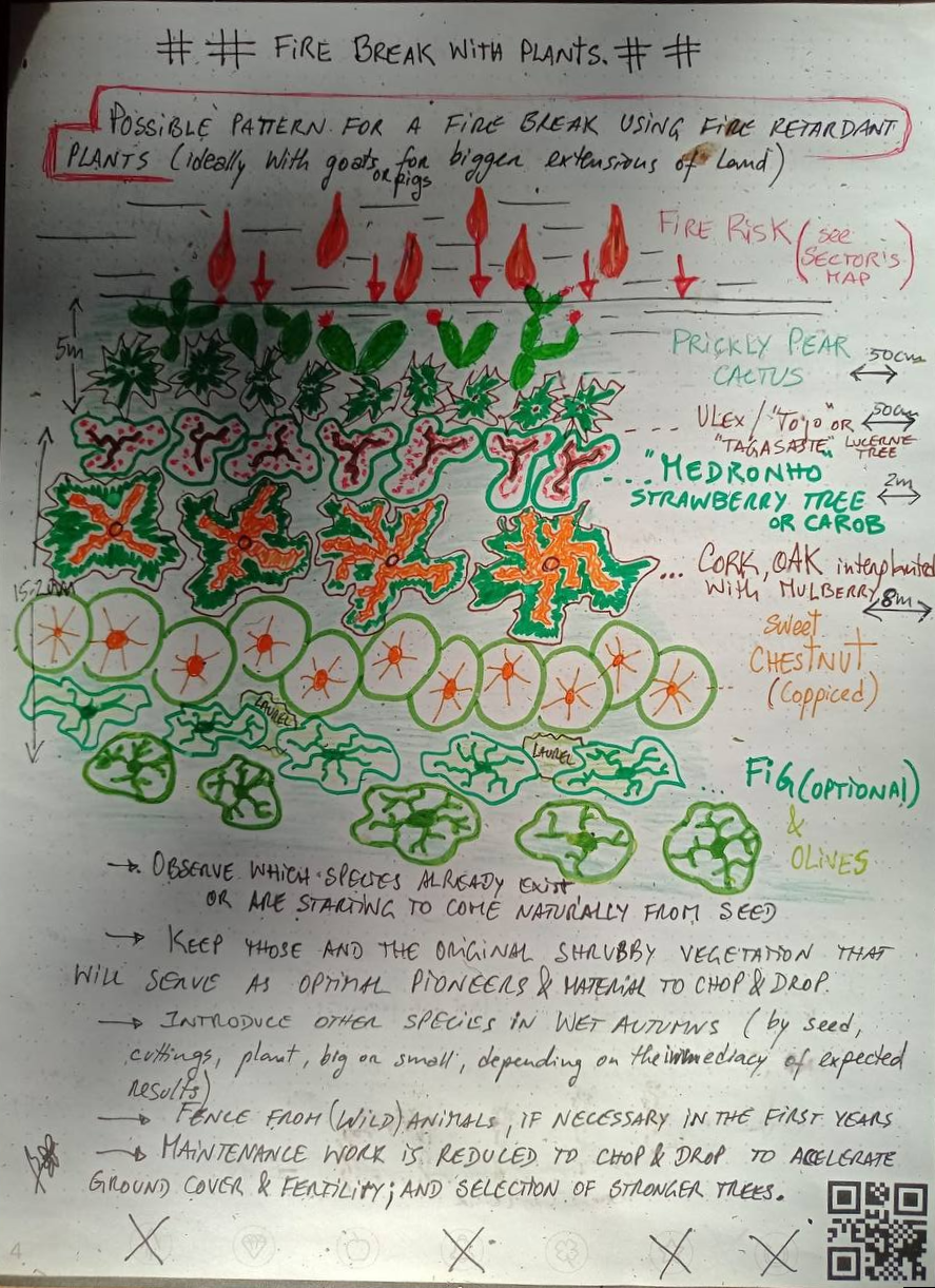 postfire-diagram-firebreak.jpg