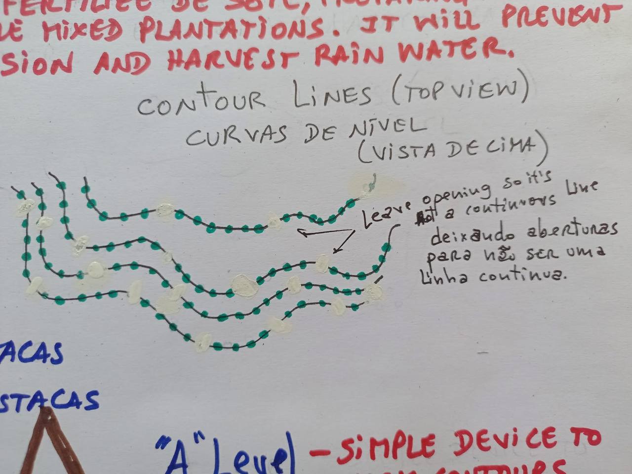 postfire-diagram-lines.jpg