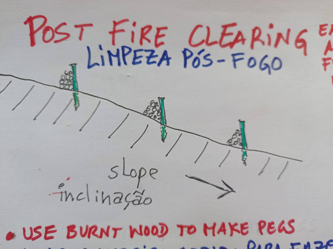 postfire-diagram-stakes.jpg